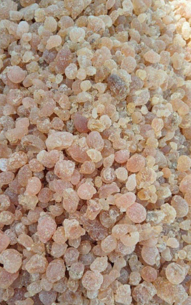 Gum Kitir grade 1